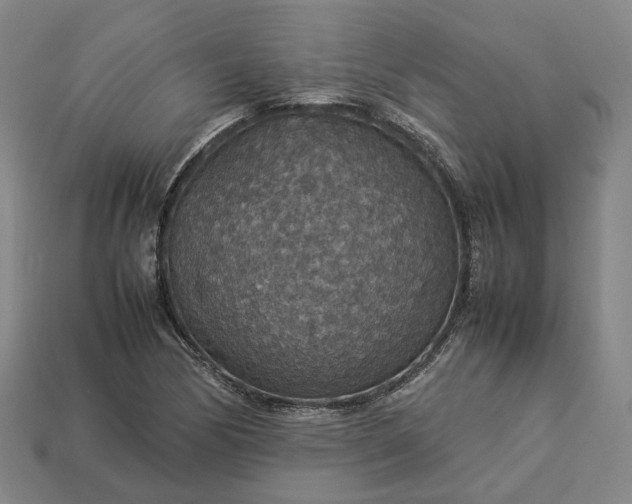 X0000112951170200909071109