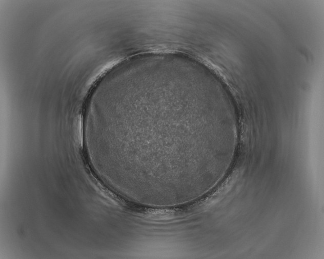 X0000112951171200909071109