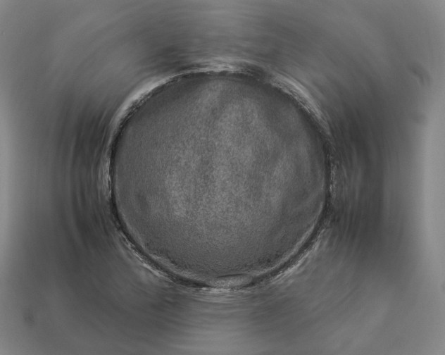 X0000112951172200909071109