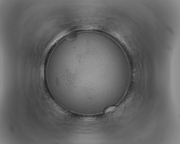 X0000112951173200909071109