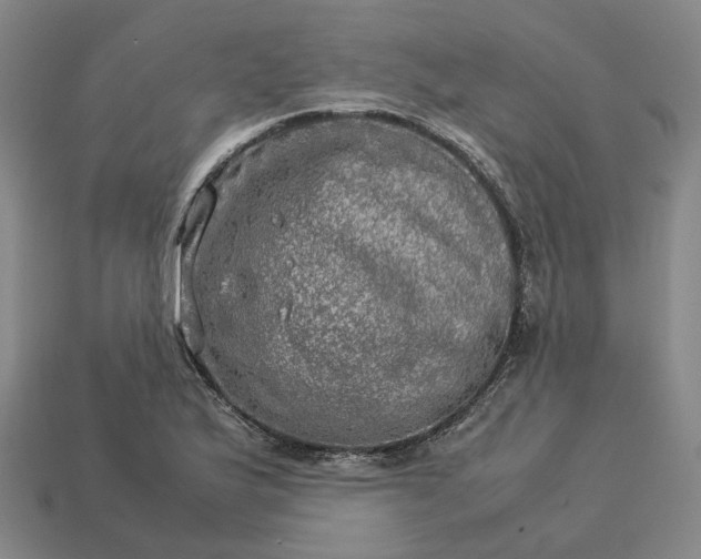 X0000112951175200909071109