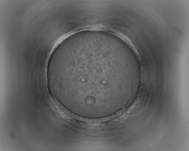 X0000112951176200909071109