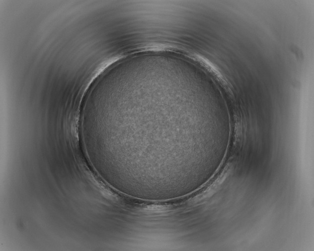 X0000112951178200909071109