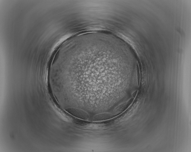 X0000112951179200909071109