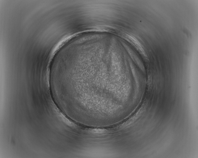 X0000112951180200909071109