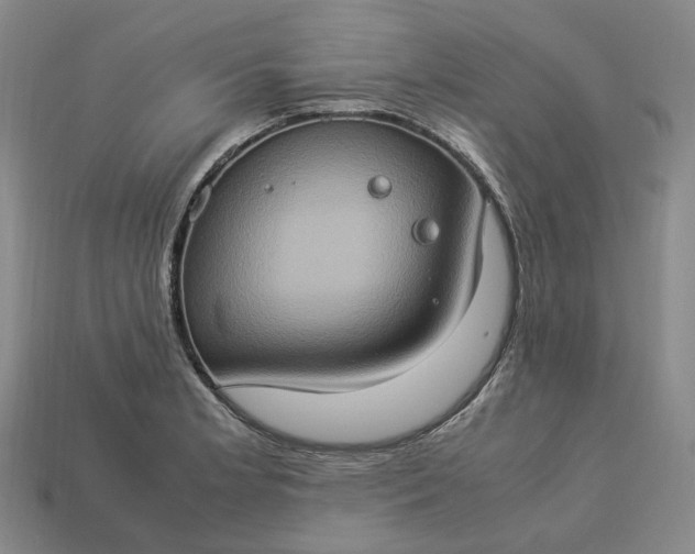 X0000112951181200909071109