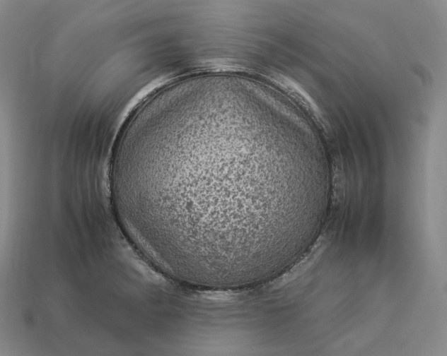 X0000112951182200909071109