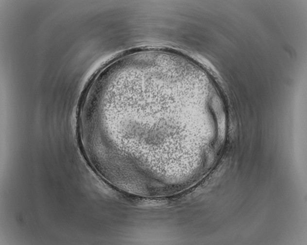 X0000112951183200909071109