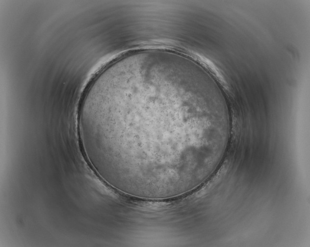 X0000112951184200909071109