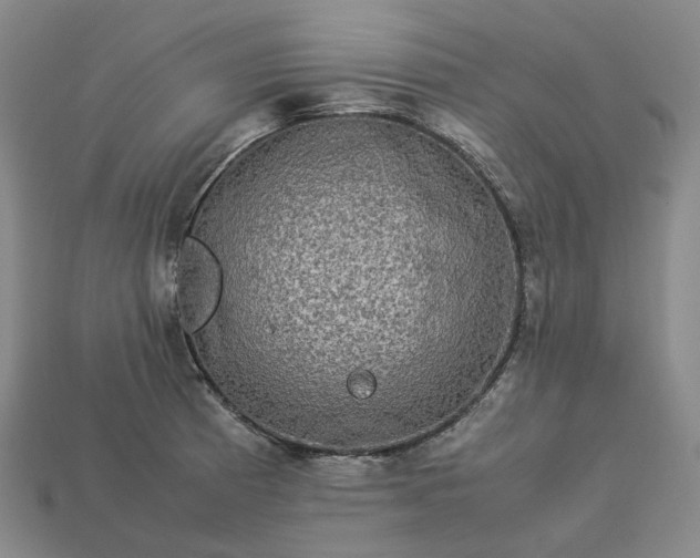 X0000112951185200909071109