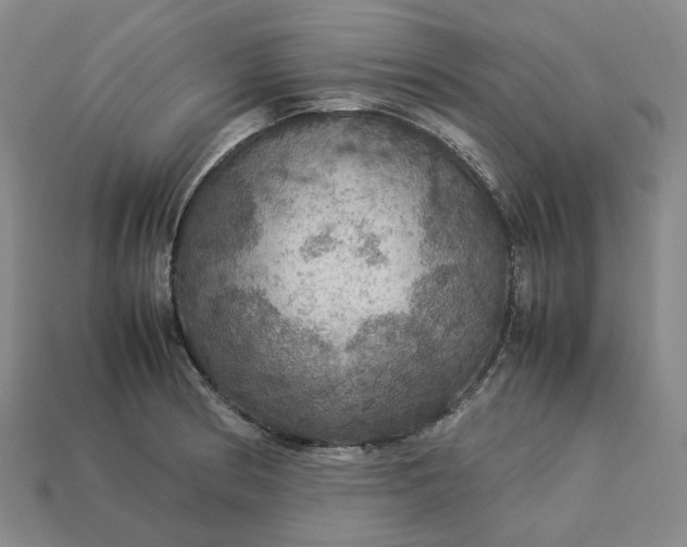 X0000112951186200909071109