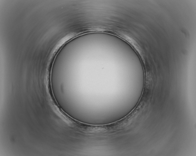 X0000112951187200909071109