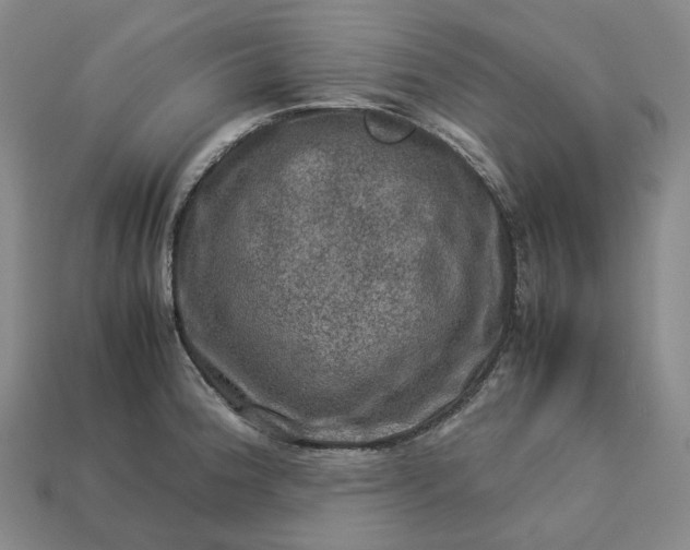 X0000112951188200909071109