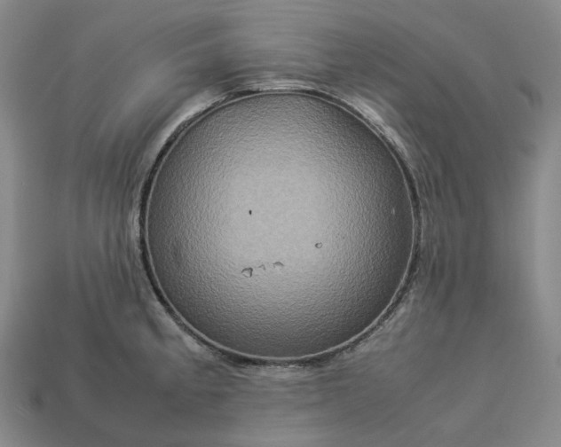 X0000112951189200909071109