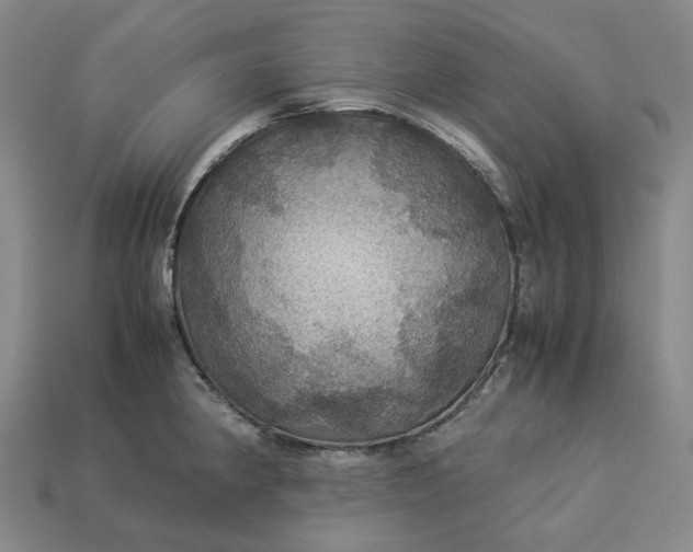 X0000112951190200909071109