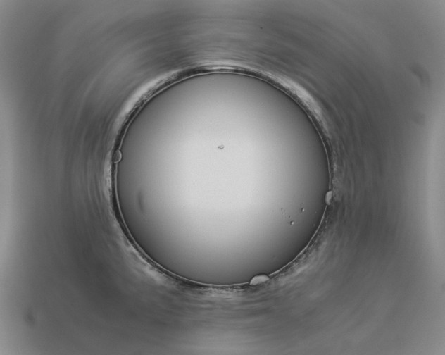 X0000112951191200909071109