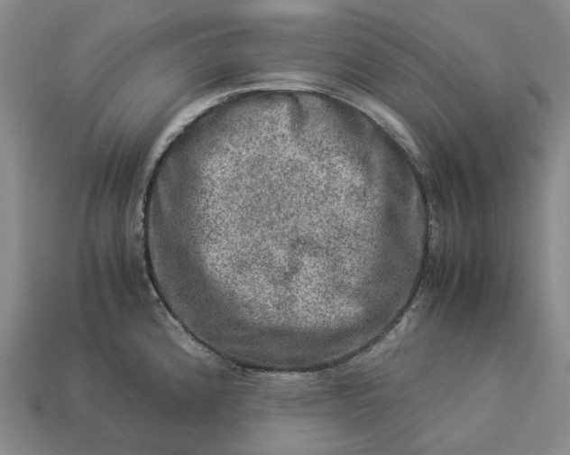 X0000112951192200909071109