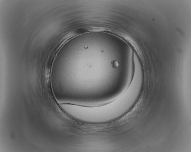 X0000112951193200909071109