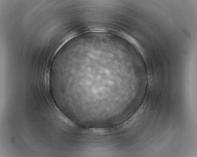 X0000112951194200909071109