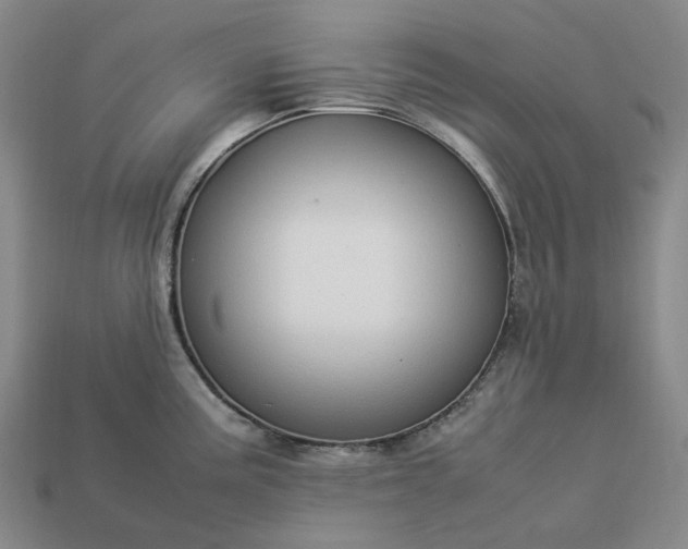 X0000112951195200909071109