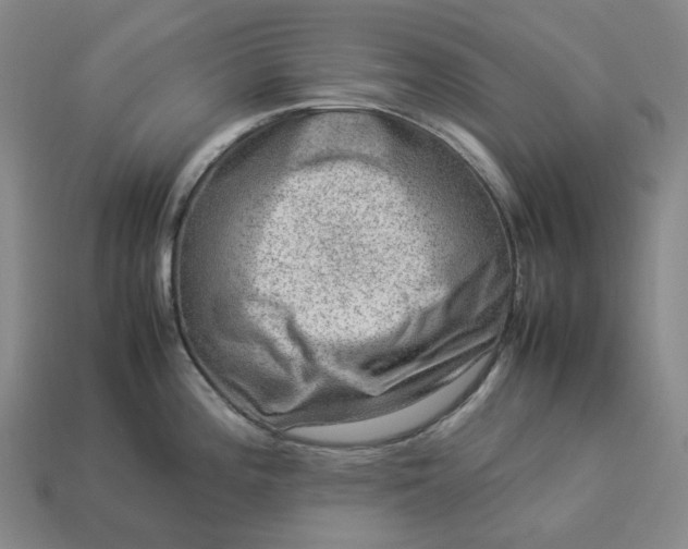 X0000112951196200909071109