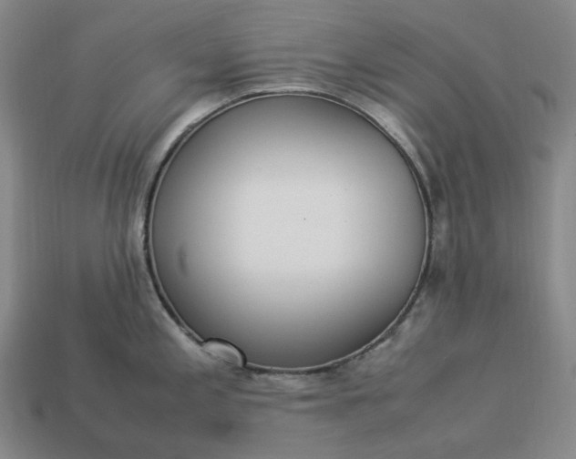 X0000112951197200909071109