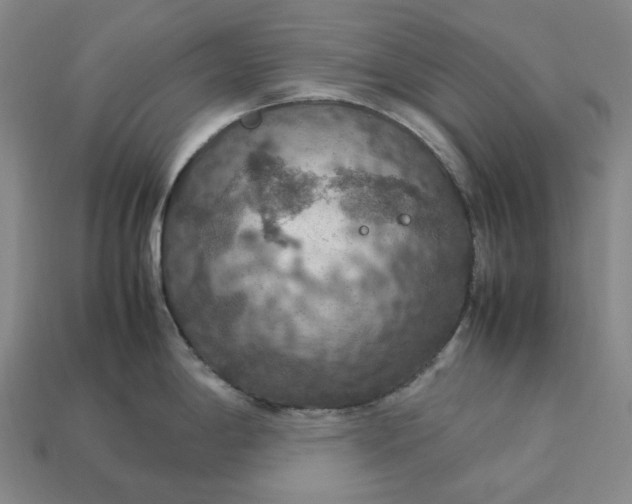 X0000112951198200909071109