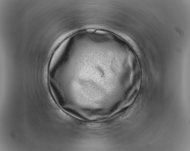 X0000112951199200909071109