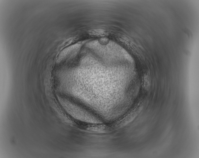 X0000112951201200909071108