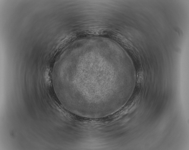 X0000112951202200909071108