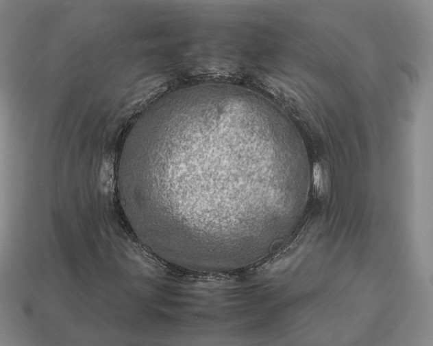 X0000112951203200909071108