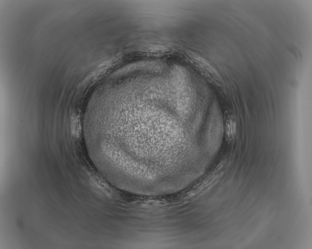 X0000112951204200909071108