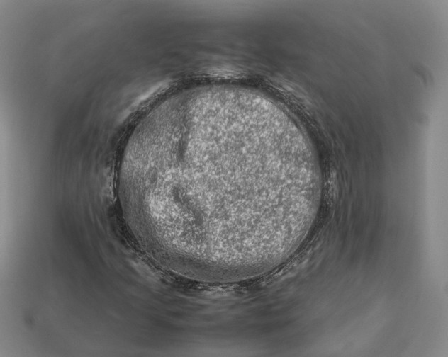 X0000112951205200909071108