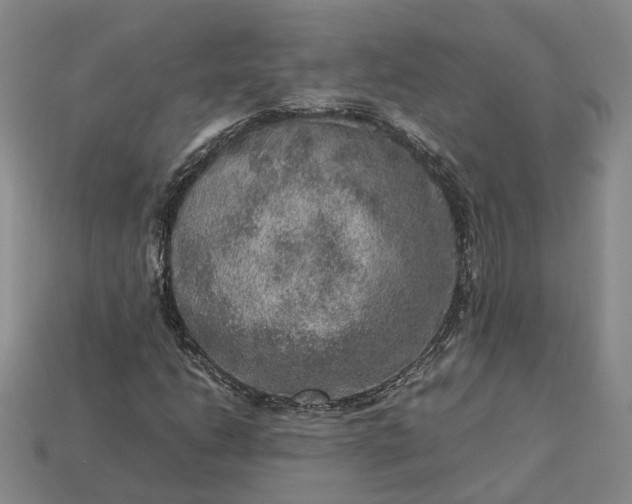 X0000112951206200909071108