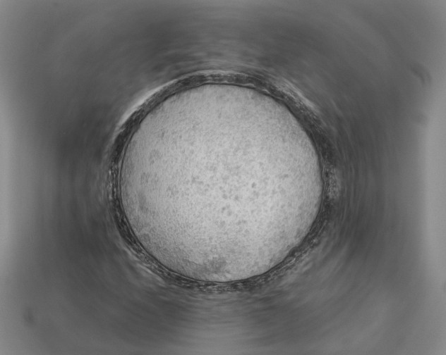 X0000112951208200909071108