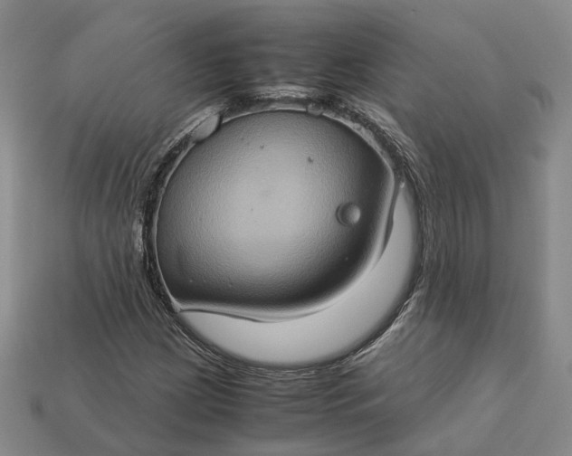 X0000112951209200909071108