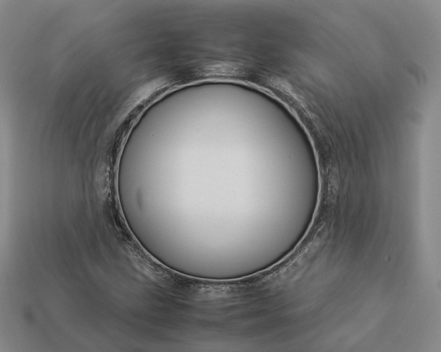 X0000112951211200909071108