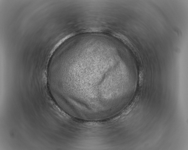 X0000112951212200909071108