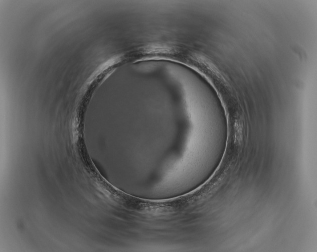 X0000112951213200909071108