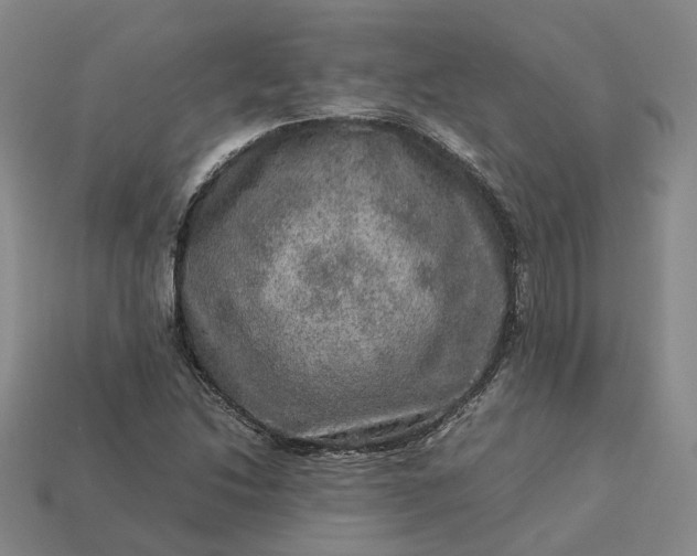 X0000112951214200909071108