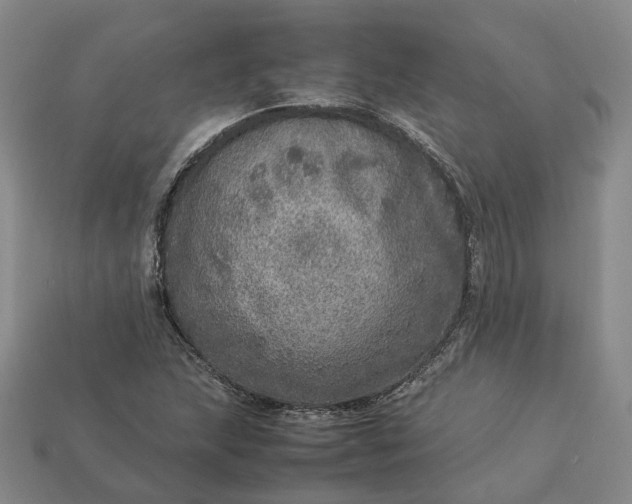 X0000112951215200909071108