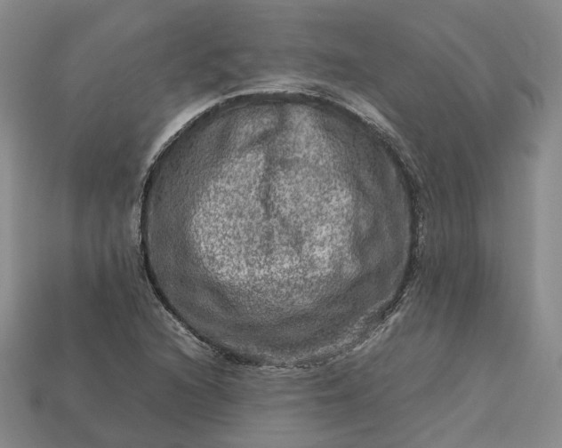 X0000112951216200909071108