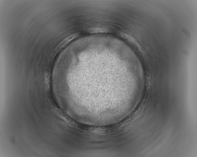 X0000112951217200909071108