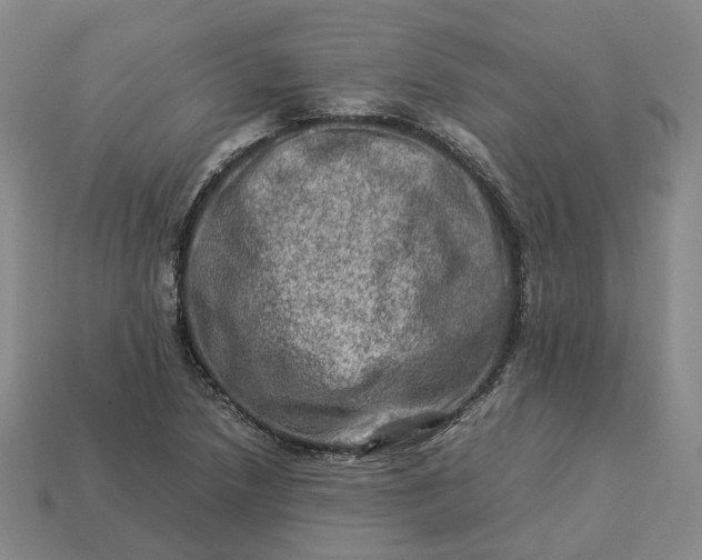 X0000112951218200909071108