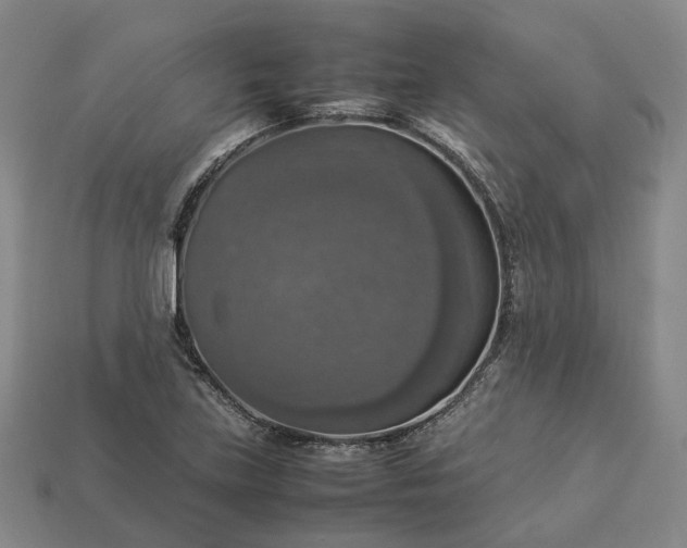 X0000112951219200909071108