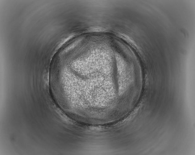 X0000112951220200909071108