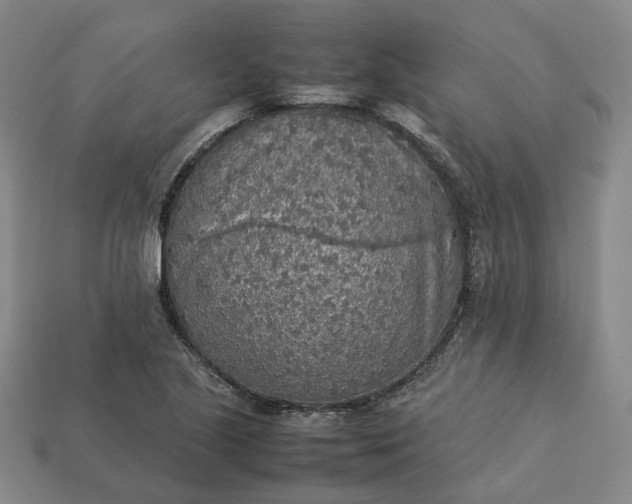 X0000112951221200909071108