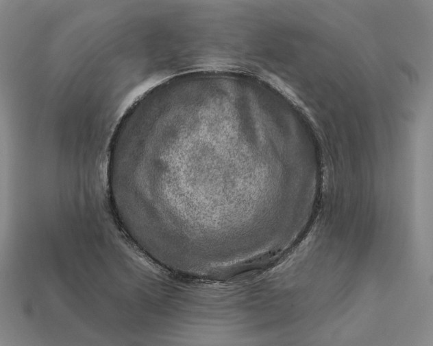 X0000112951222200909071108