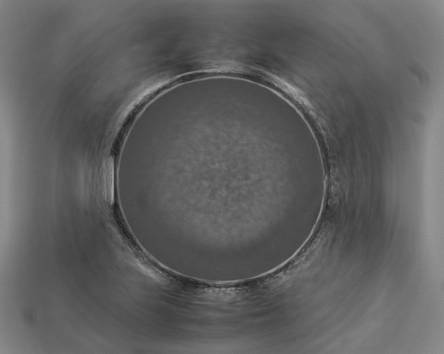 X0000112951223200909071108