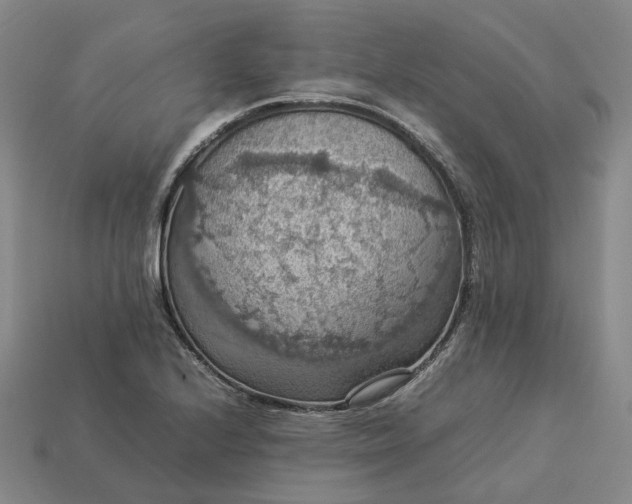 X0000112951224200909071108